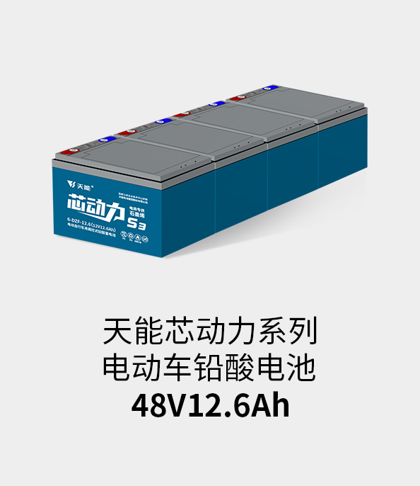 98彩票电池48v12ah