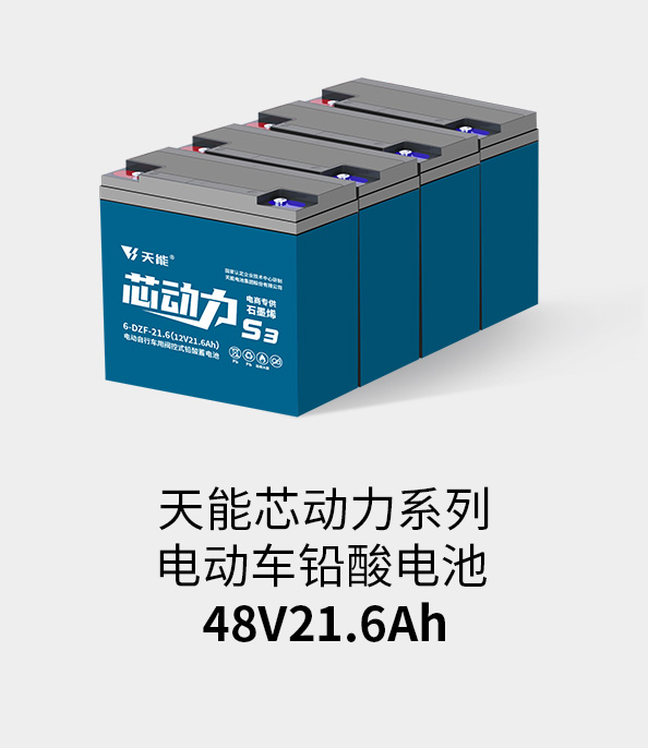 98彩票电池48v20ah