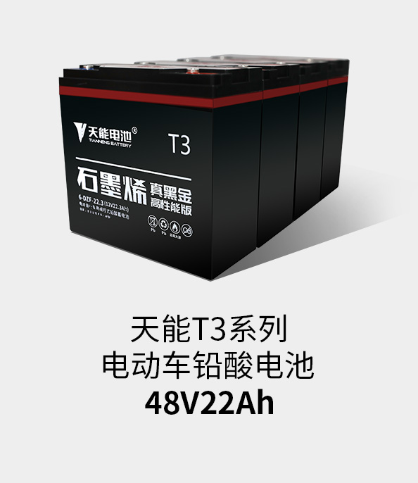 98彩票T3系列48v22ah