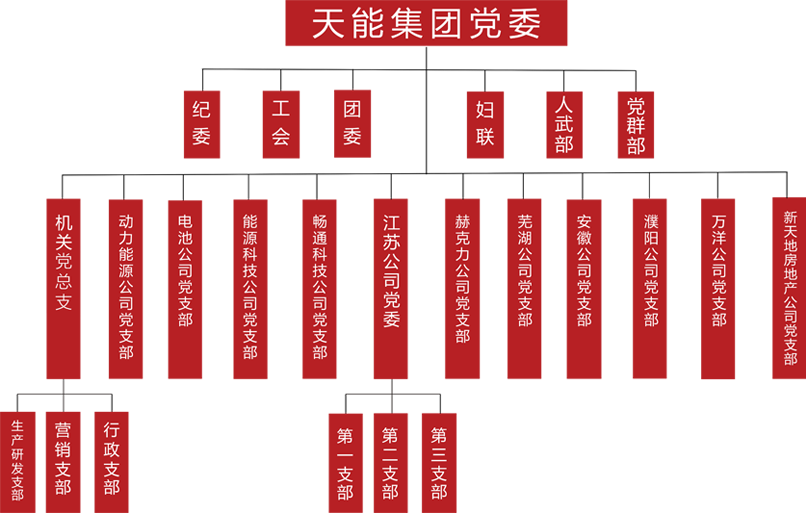 98彩票建团党委组织架构